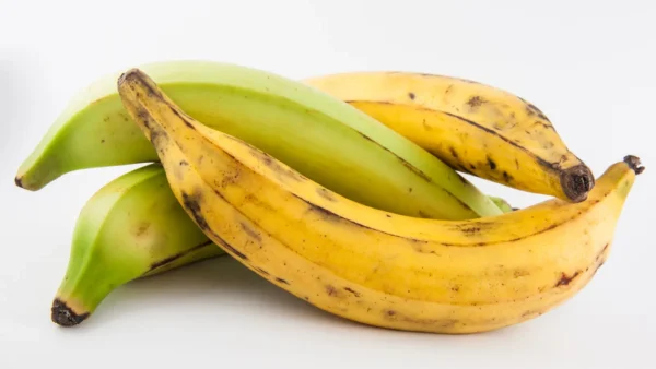 Plantain