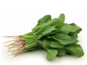 Spinach