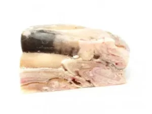 Mackerel Fish