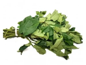 Fresh Ugu Leaves