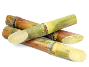 SugarCane (1Stick)