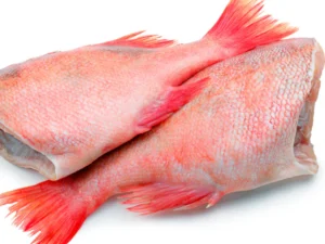 Cleaned Headless Red Bream Fish