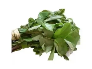Fresh Oha Leaves