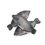 Whole Tilapia Fish